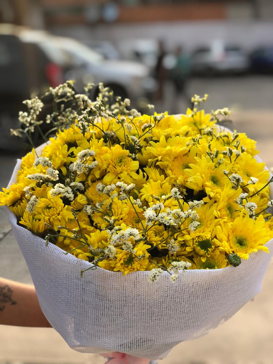 RAMO SOL DE MARGARITA