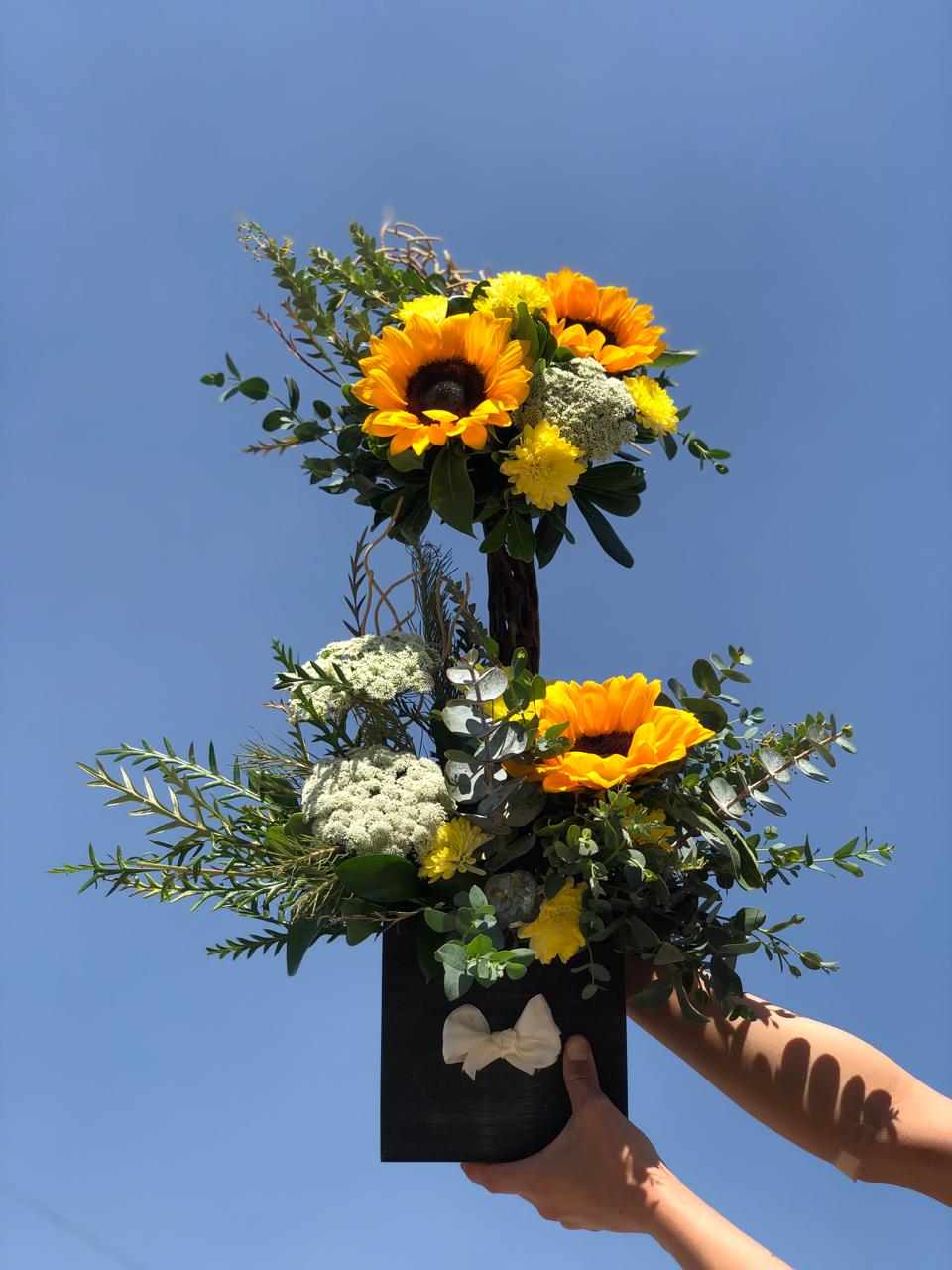 ARREGLO HALO ARDIENTE