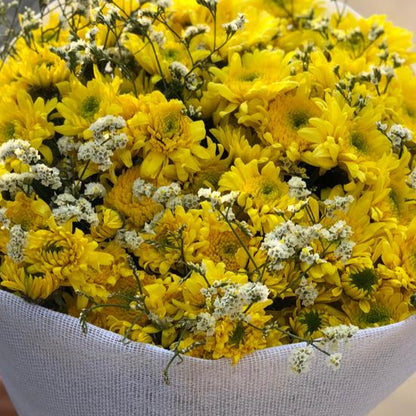 RAMO SOL DE MARGARITA