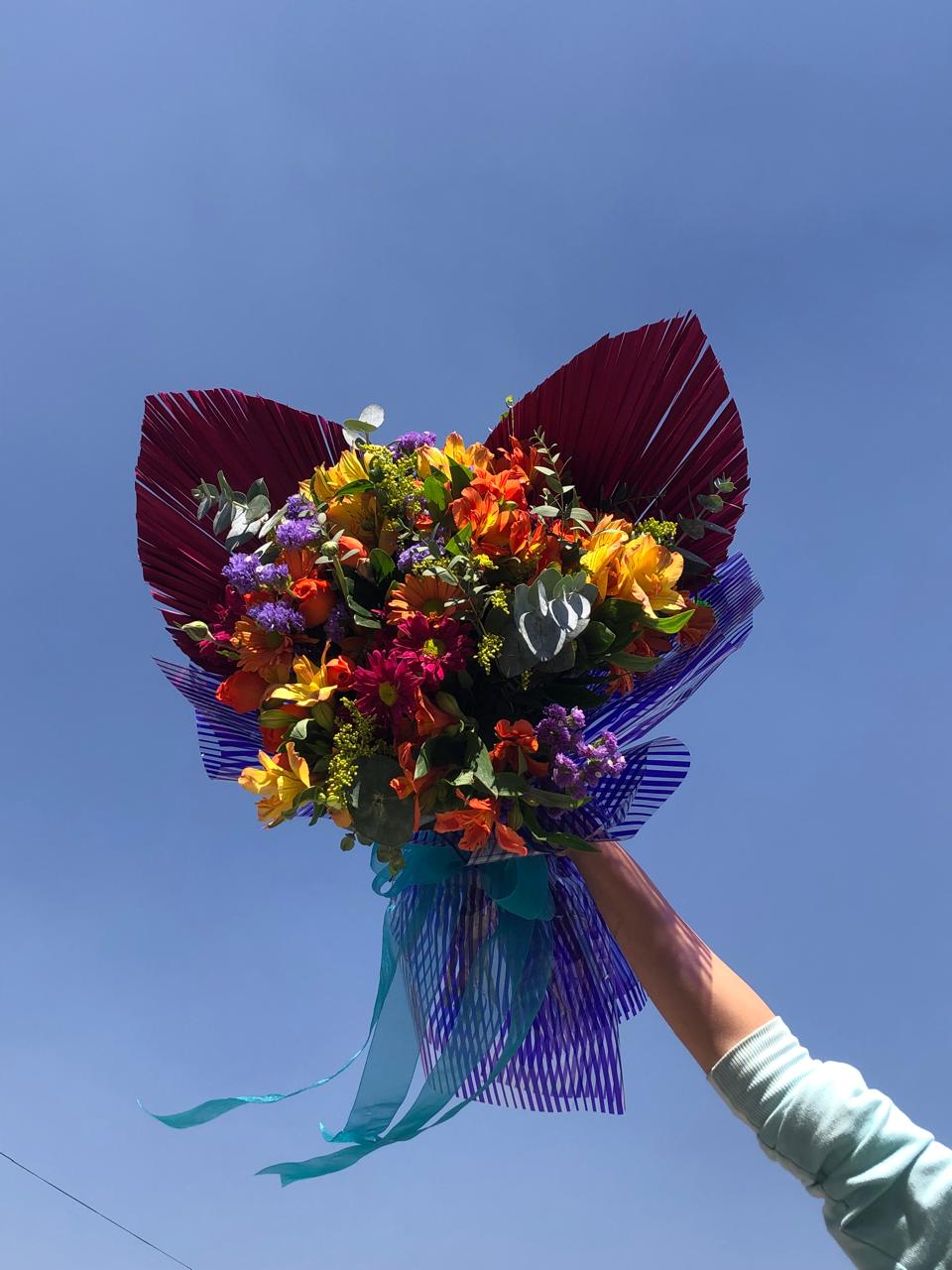 RAMO MELODIA DE COLORES