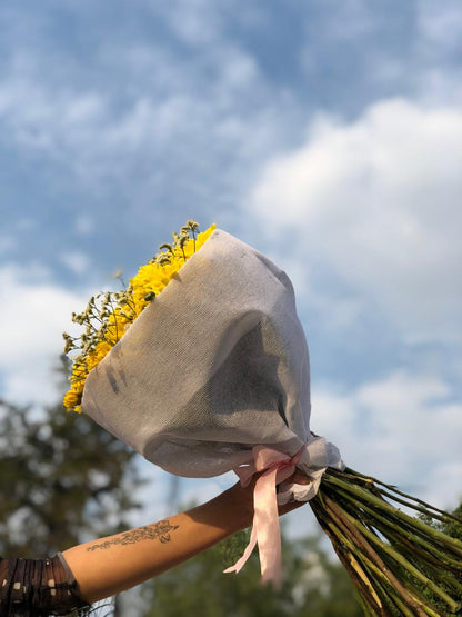 RAMO SOL DE MARGARITA